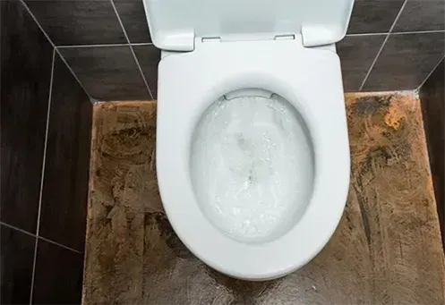 Desentupidora de Vaso Sanitário Urgente na Cidade Mãe do Céu